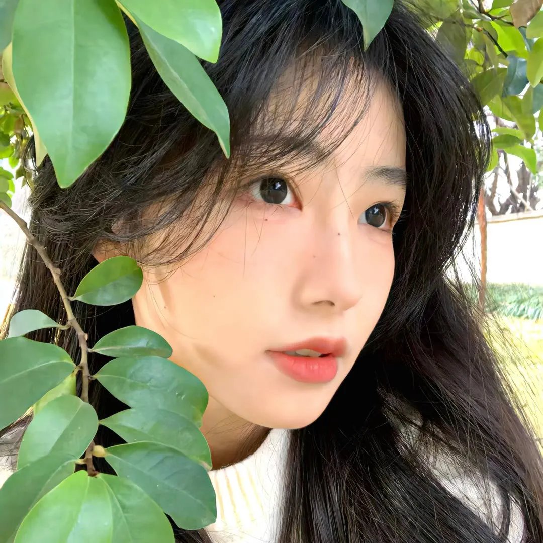 花之锁